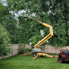 Best Lawn Drainage Solutions  in Kings Mills, OH