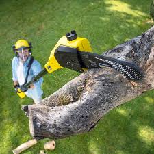 Best Utility Line Clearance  in Kings Mills, OH