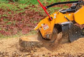Reliable Kings Mills, OH Tree Services Solutions