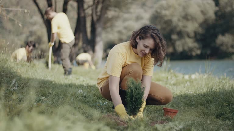 Best Lawn Disease Treatment  in Kings Mills, OH
