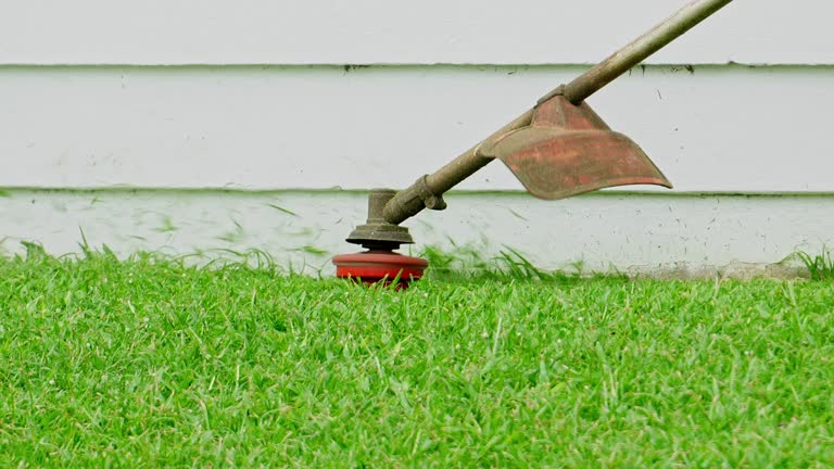 Best Weed Control  in Kings Mills, OH